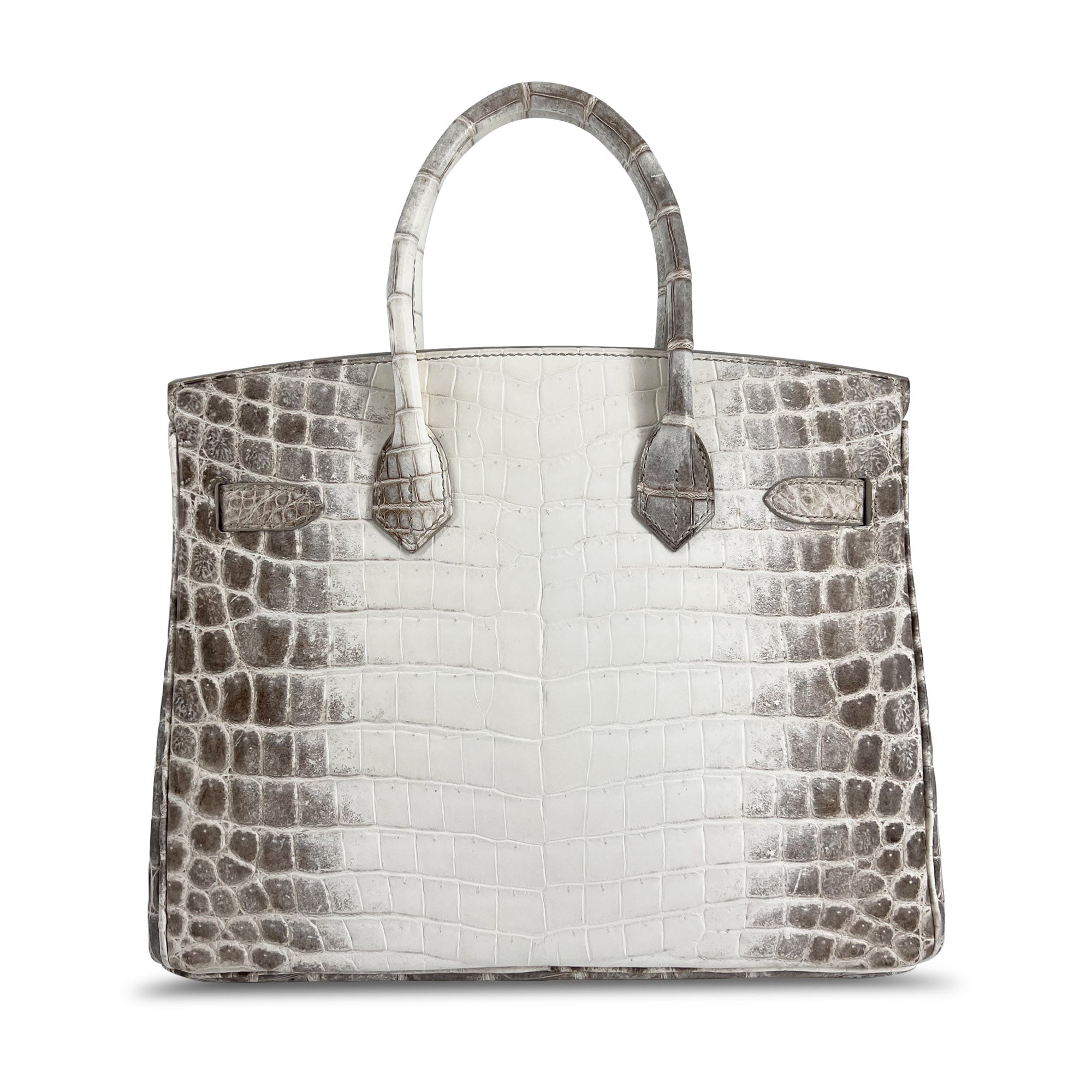 Hermes Birkin B30 Himalaya Niloticus Croco Matte designer bag back 