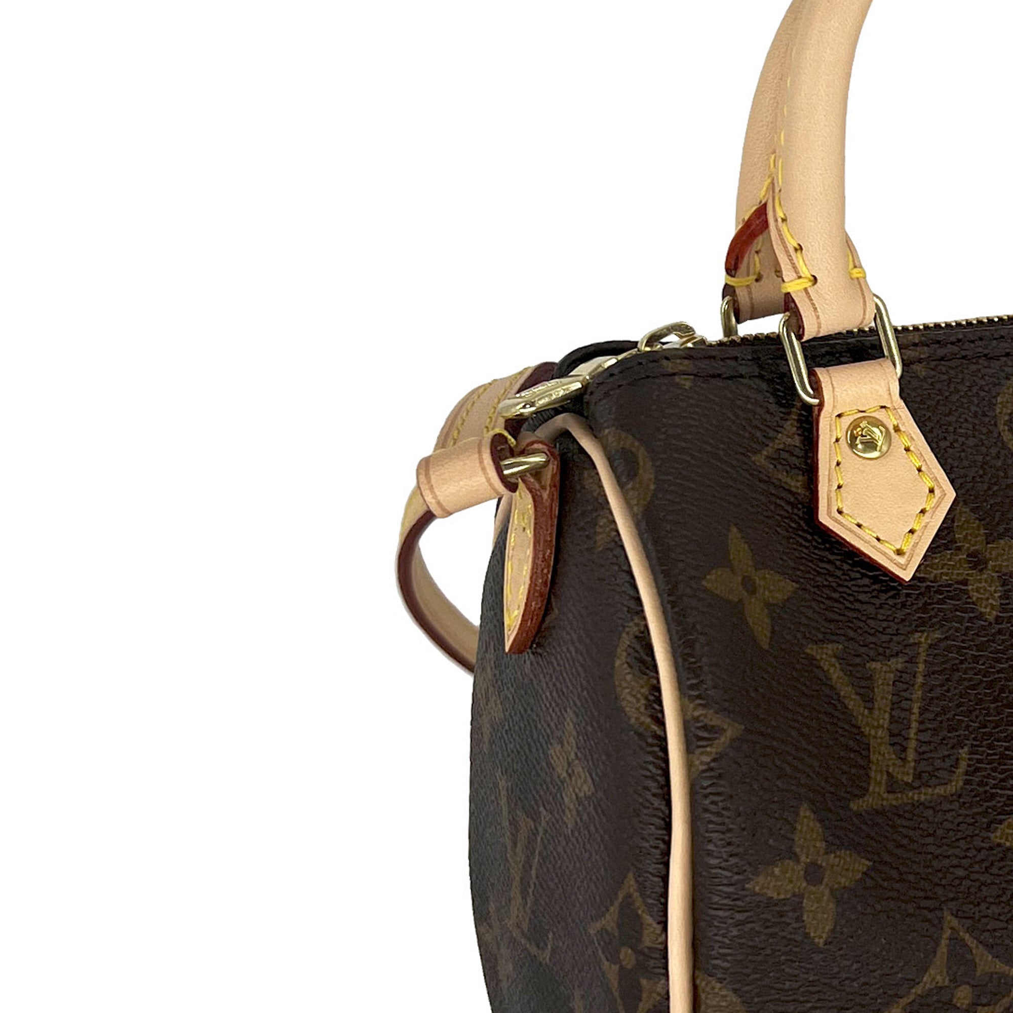 Louis Vuitton Nano Speedy Monogram Canvas Brown in Coated Canvas with  Gold-tone - GB