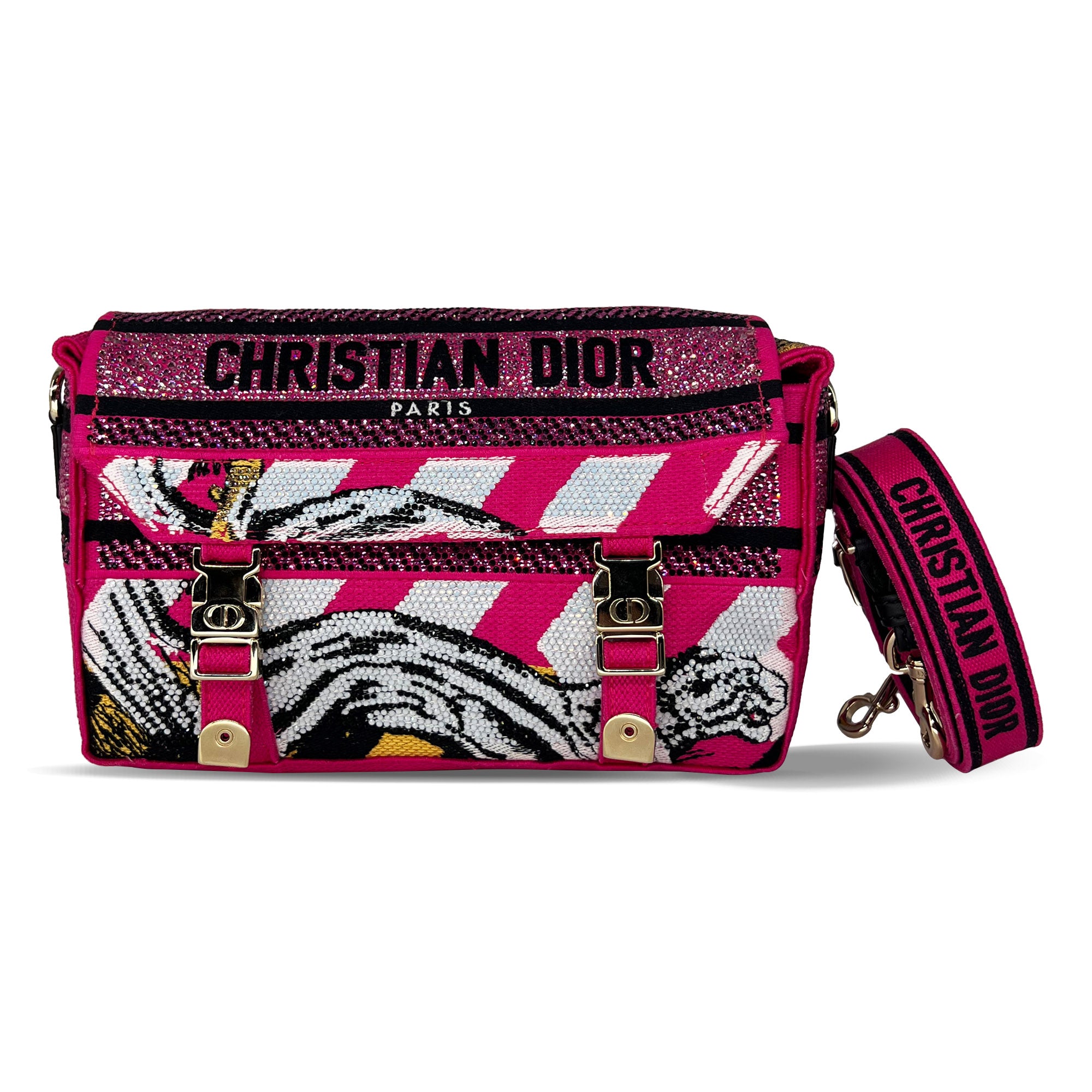 Dior camp bag pink/multicolour technical canvas with strass